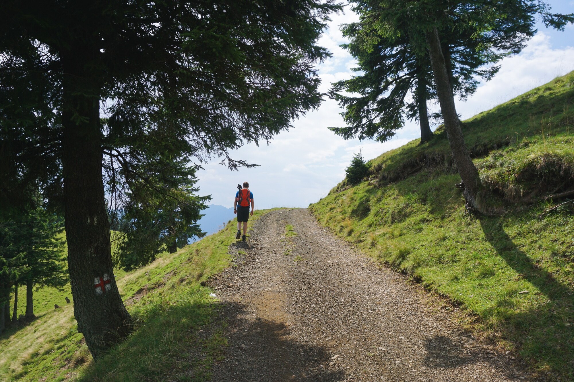 Sendero para caminar
